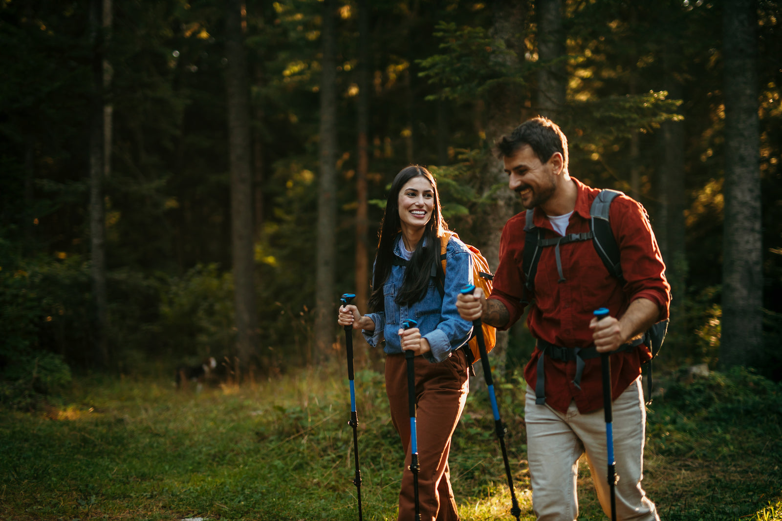 Fall Hiking Guide product
