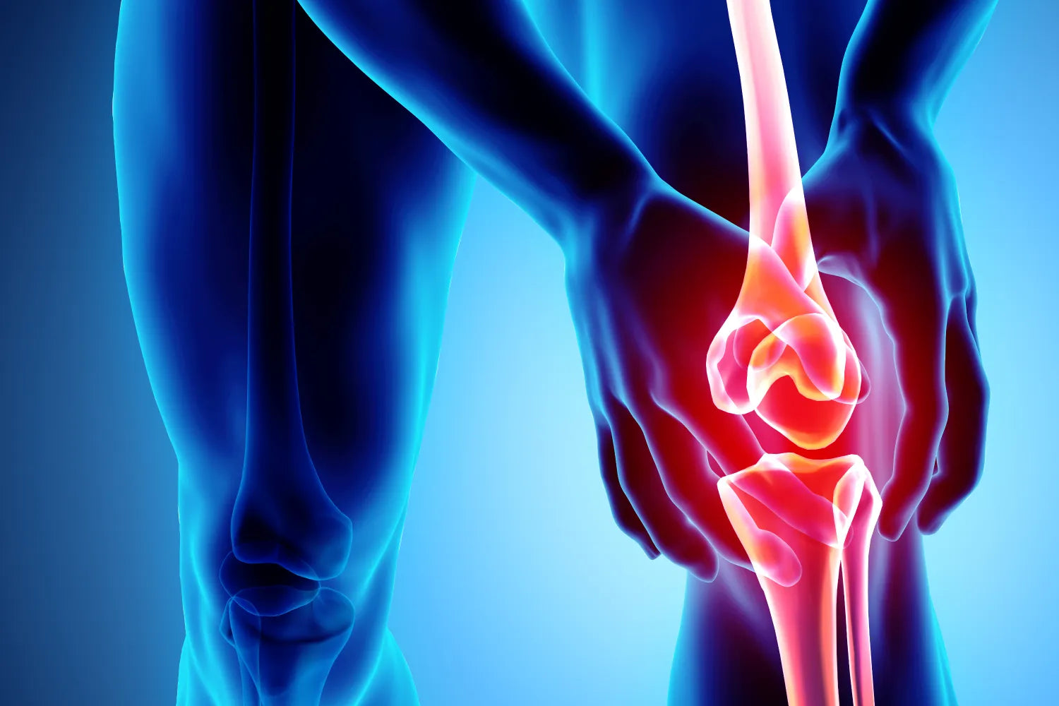 Jumper's Knee: Symptoms, Pain Location, Stretches & More product